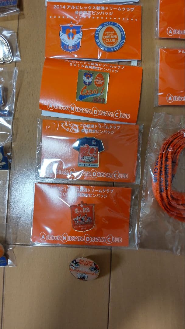 アルビレックス新潟後援会ピンバッジ&靴紐セット