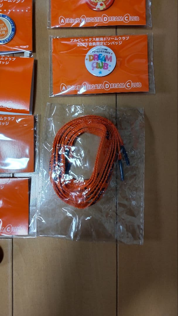 アルビレックス新潟後援会ピンバッジ&靴紐セット