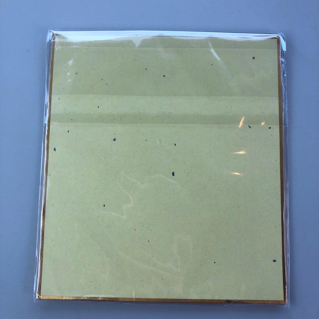 Vtuber 飯田ぽち。 3D化記念グッズ　直筆サイン色紙 メロブ