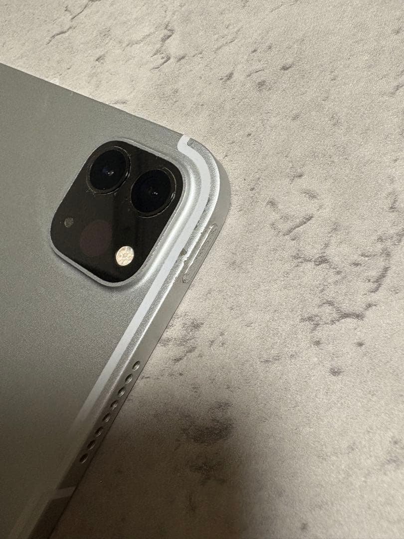 Apple iPad Pro 第3世代 シルバー　SIM対応　たら