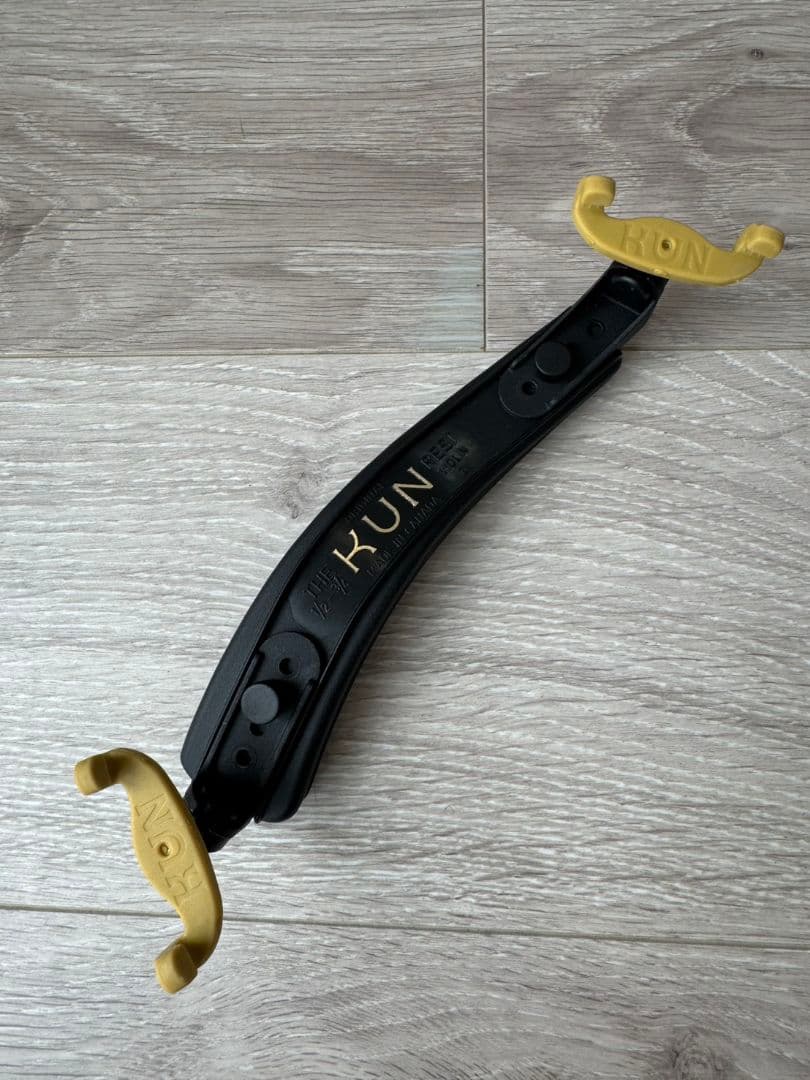 エレキバイオリン サイレントバイオリン