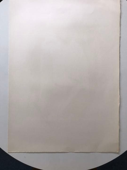 ★J5★古沢岩美「レダ」リトグラフ　限定品