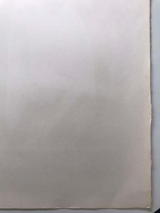 ★J5★古沢岩美「レダ」リトグラフ　限定品