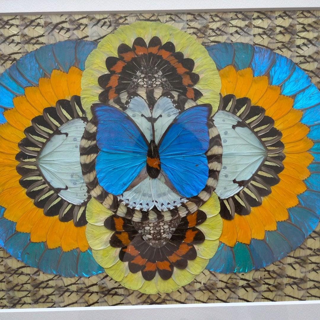 モルフォ蝶　貼り絵　芸術品