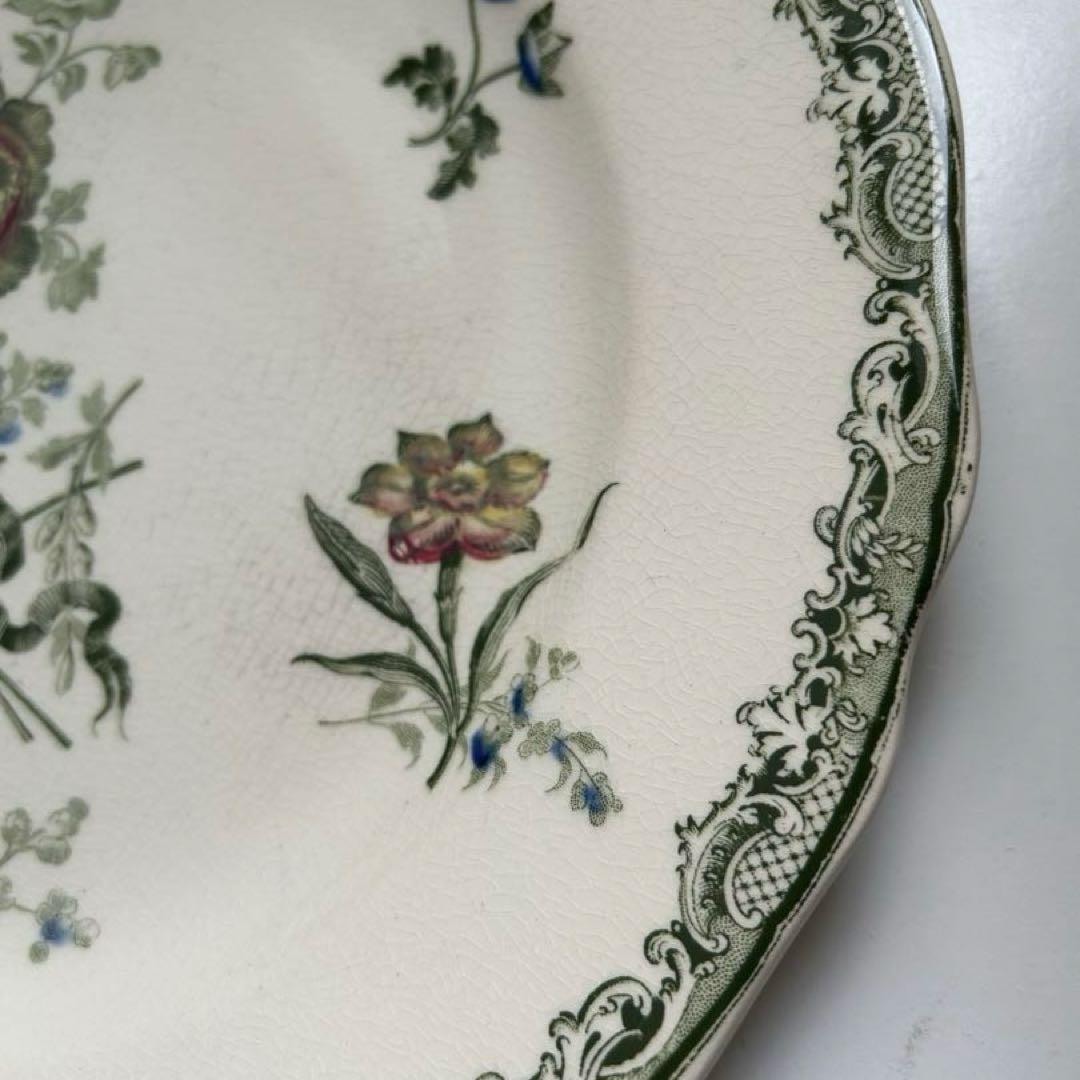 サルグミンヌ　フォンタンジュ　多色　ディナープレート