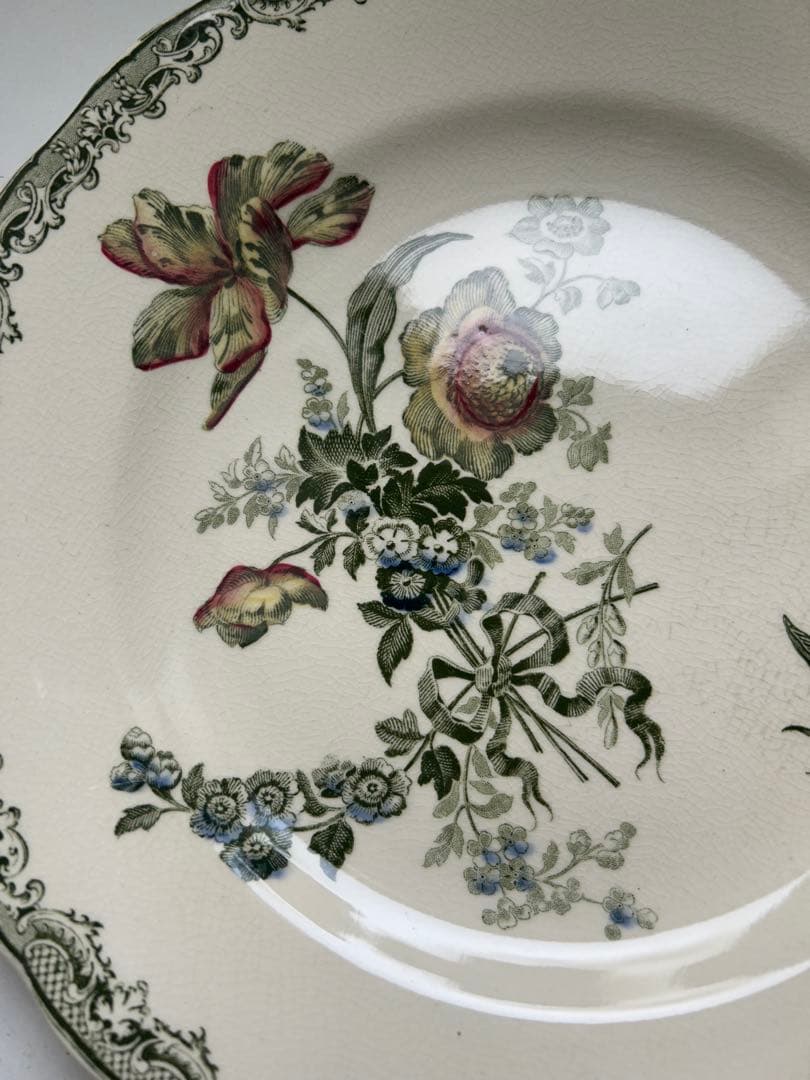 サルグミンヌ　フォンタンジュ　多色　ディナープレート