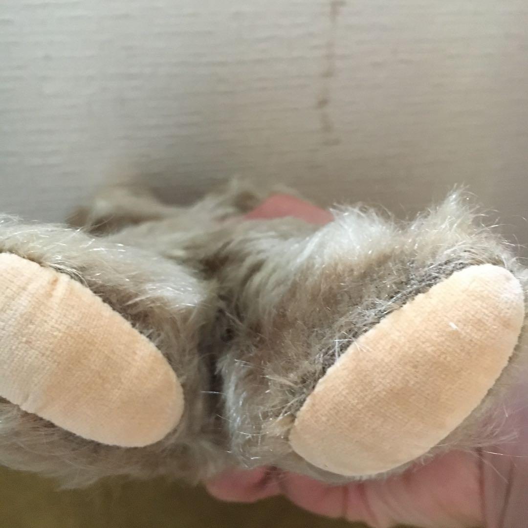 寝転び　ゾッティ