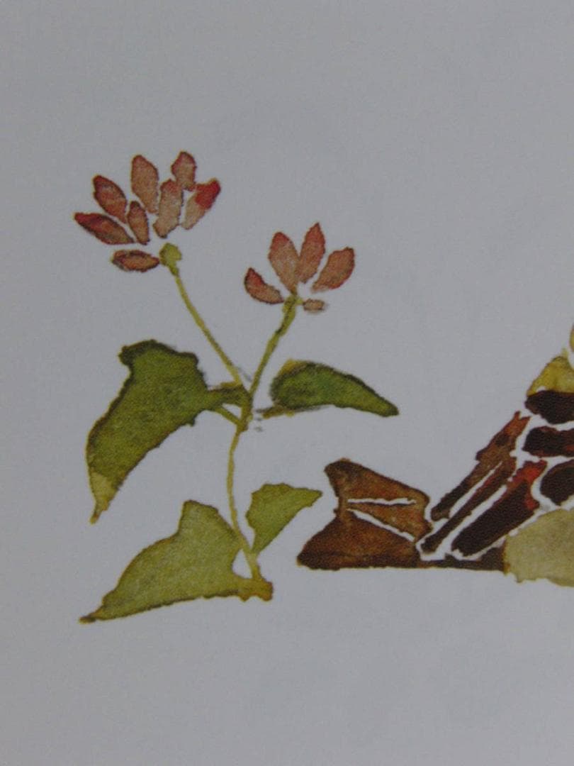 北田稔、【マカロン】、希少な額装用画集より、状態良好、新品額装付