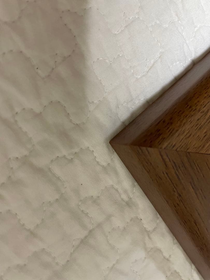 いのまたむつみ　版画　テイルズ オブ エターニア　複製原画　直筆サイン