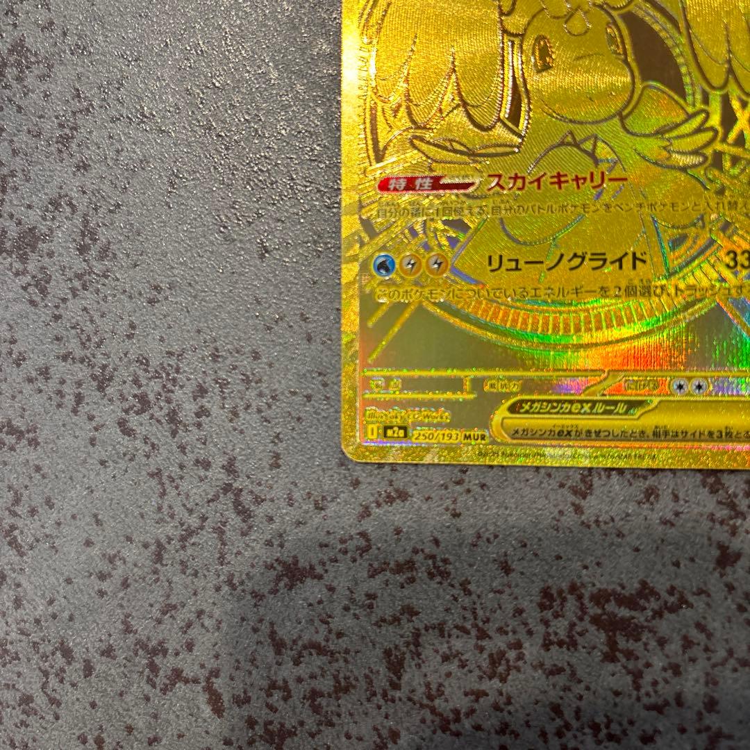 ピ*ー様 メイのはげましsar 2枚、メガカイリューex mur