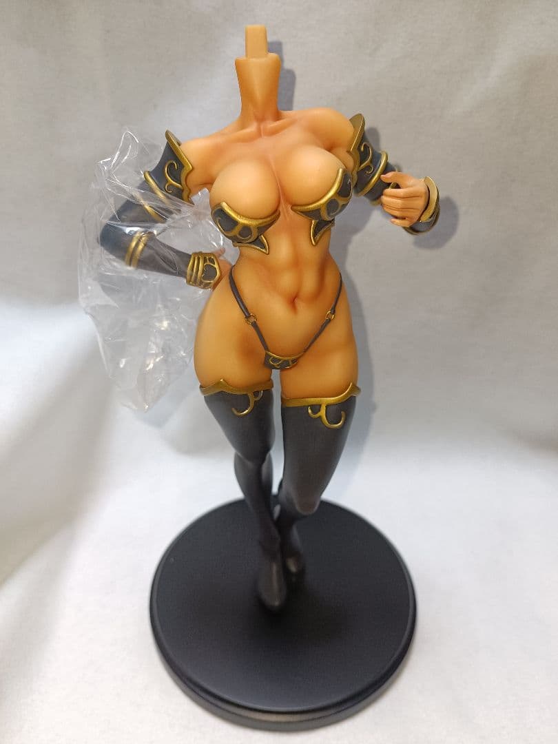 ドラゴンズクラウン 黒エルフの魔獣使い 1/6 完成品フィギュア Q-six