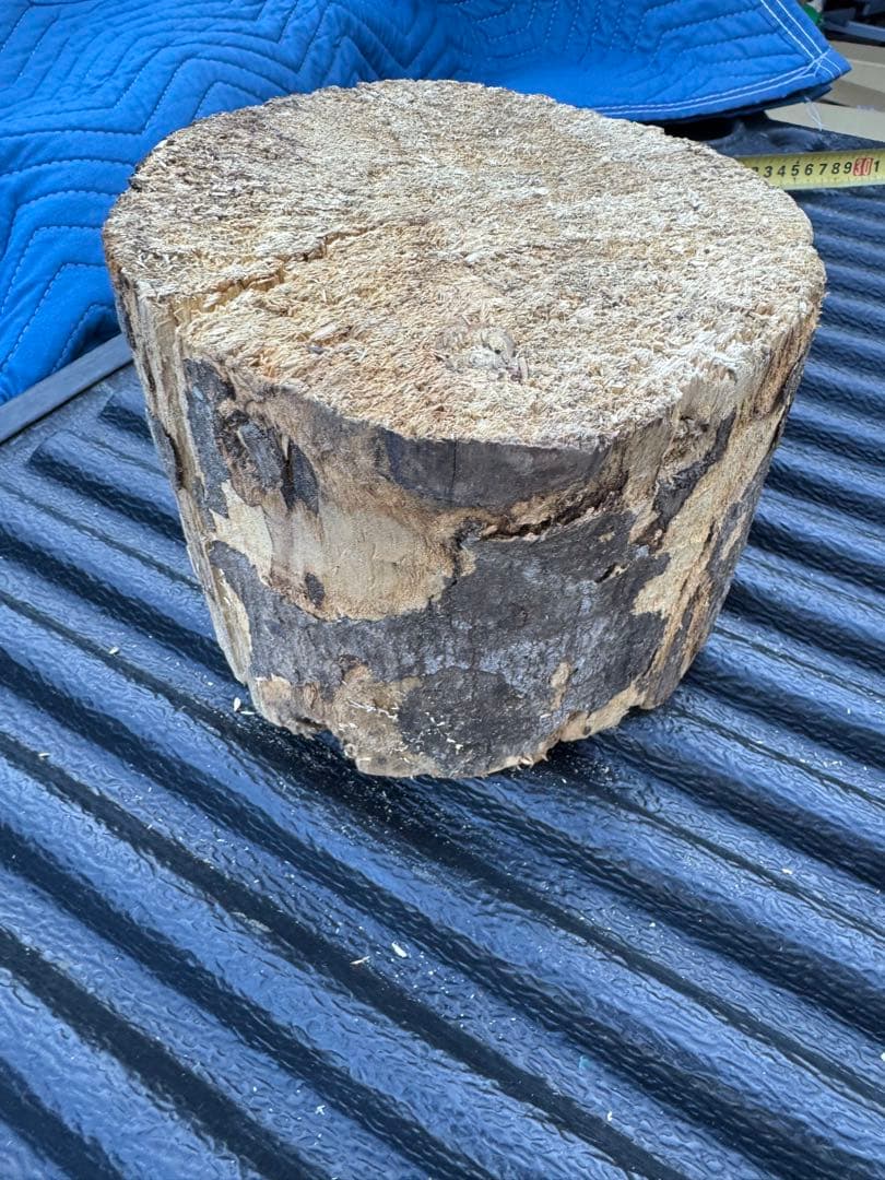 ベトナム材　VN材　13cm×18cm 産卵材