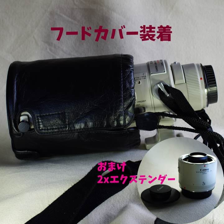 キヤノン EF300mm F2.8L USM 2xエクステンダー付