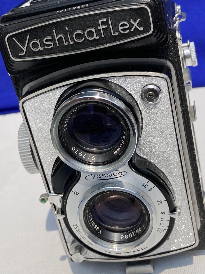 若葉が鮮やか　キラキラ感 YASHICA FLEX インテリアにもどうぞ