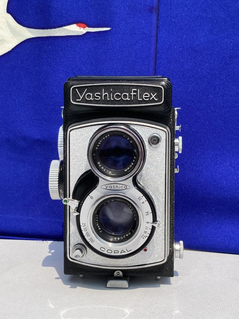 若葉が鮮やか　キラキラ感 YASHICA FLEX インテリアにもどうぞ