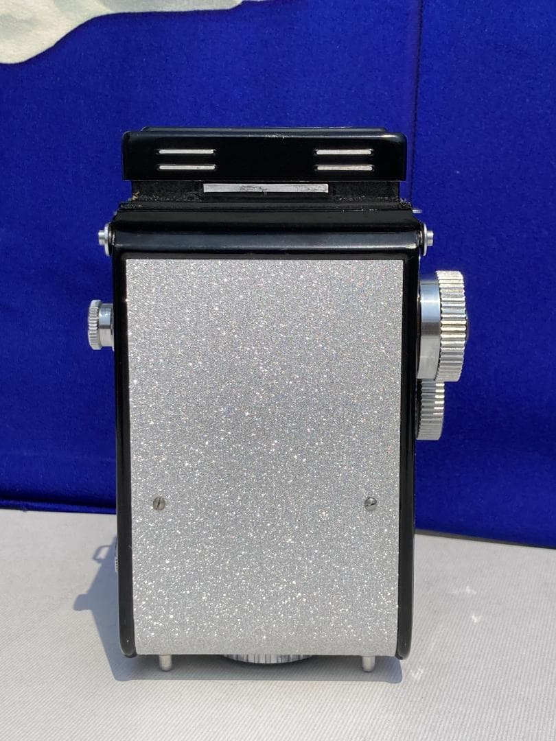 若葉が鮮やか　キラキラ感 YASHICA FLEX インテリアにもどうぞ