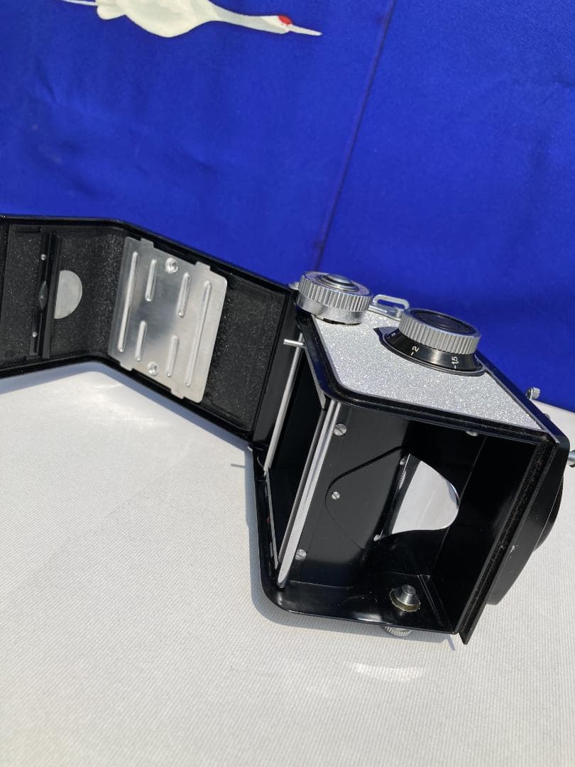 若葉が鮮やか　キラキラ感 YASHICA FLEX インテリアにもどうぞ