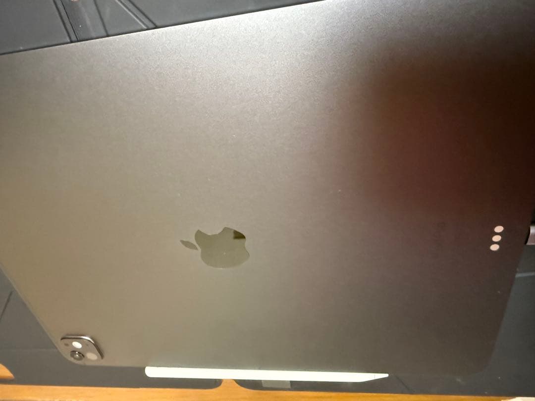 13インチiPad Pro(M4) 1TB ×Applepencil PRO