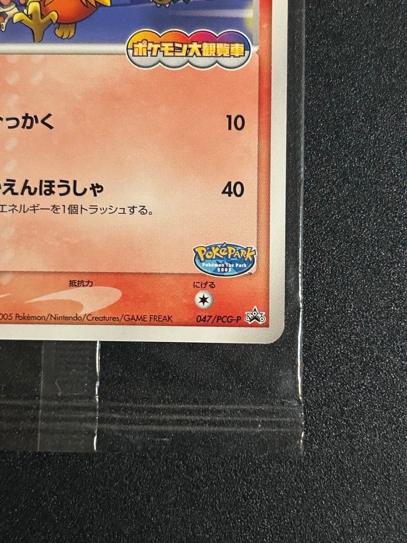 ポケパークのアチャモ　未開封　ポケカ