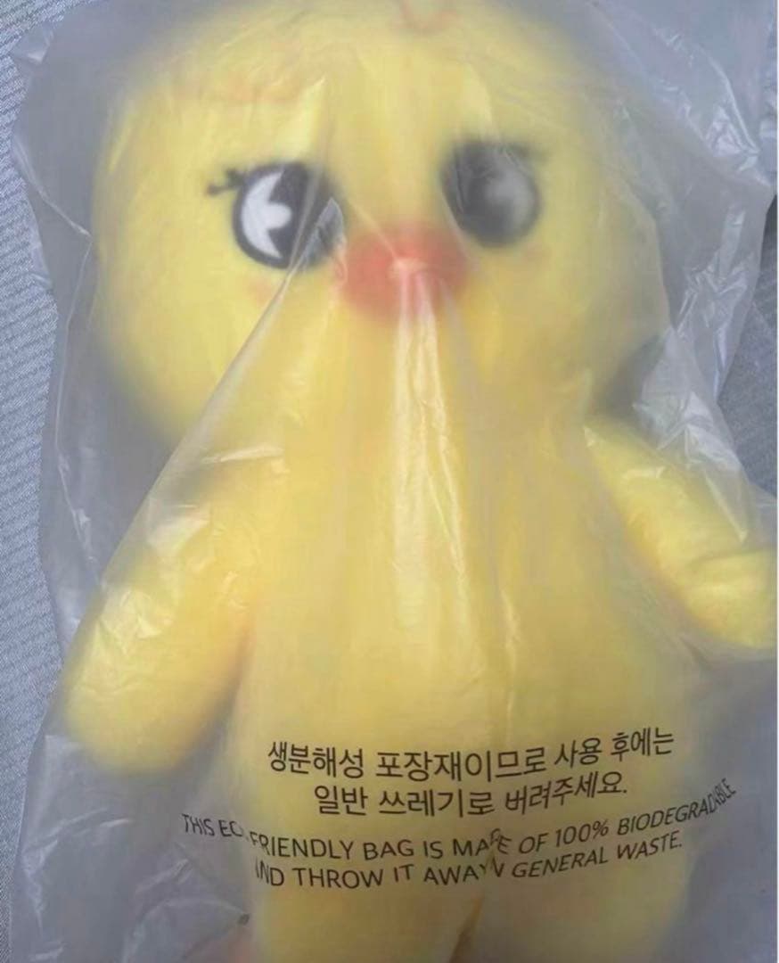 購*い様 Stray Kids SKZOO PLUSH テディベア Ver.ポガ