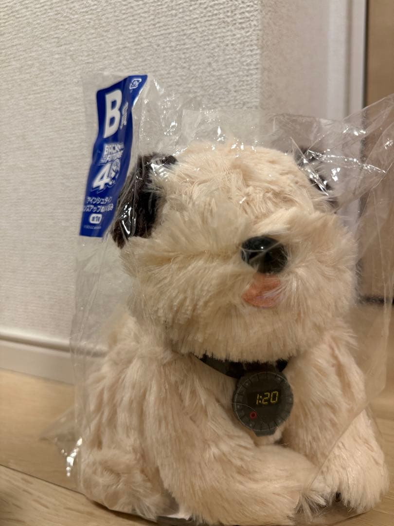 バックトゥーザフューチャー くじ