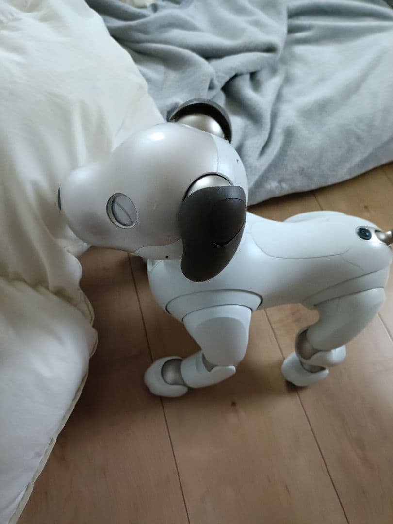 aibo　本体