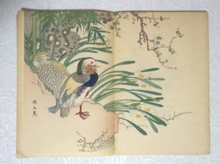 彩色木版画画帖本竹洞花鳥畫譜初版中林竹洞名古屋の江戸後期の画家安永5年～嘉永6年
