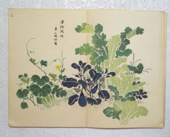 彩色木版画画帖本竹洞花鳥畫譜初版中林竹洞名古屋の江戸後期の画家安永5年～嘉永6年