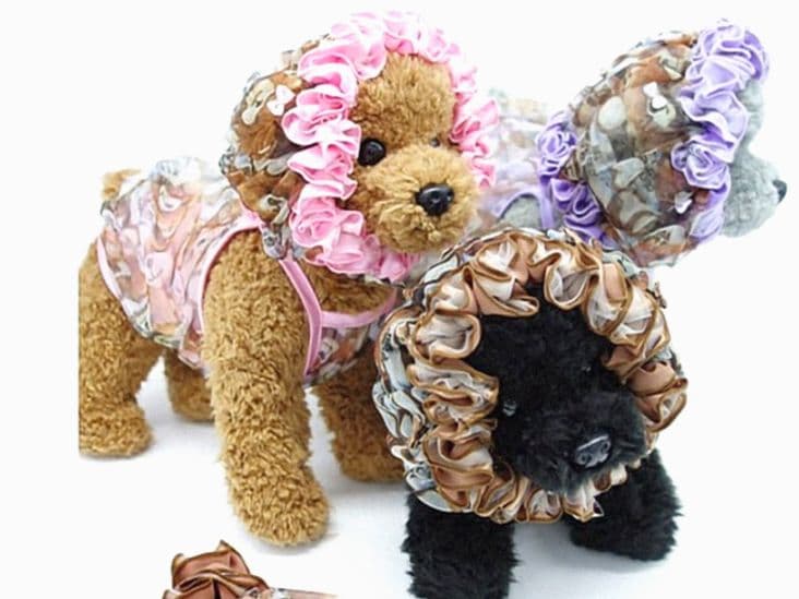 B　Airy Bear キャミ3色セット　サーカスサーカスcircuscircu