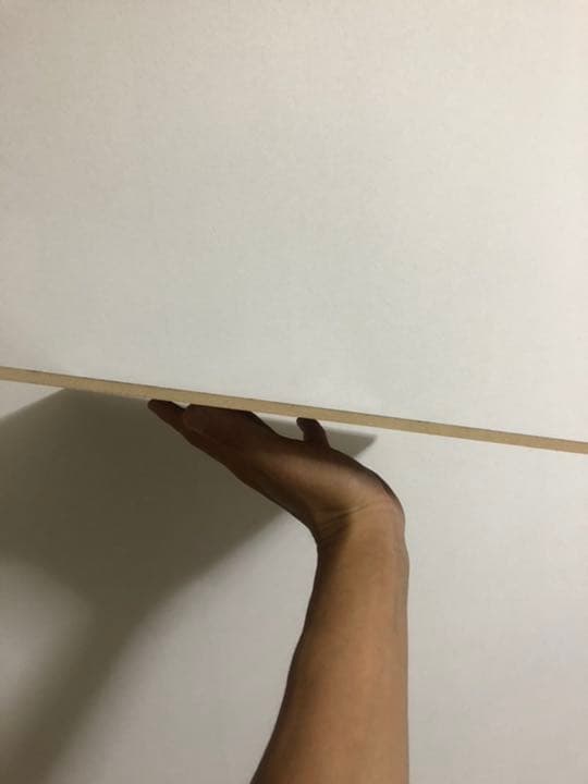 花の上で休む眩しい蝶々