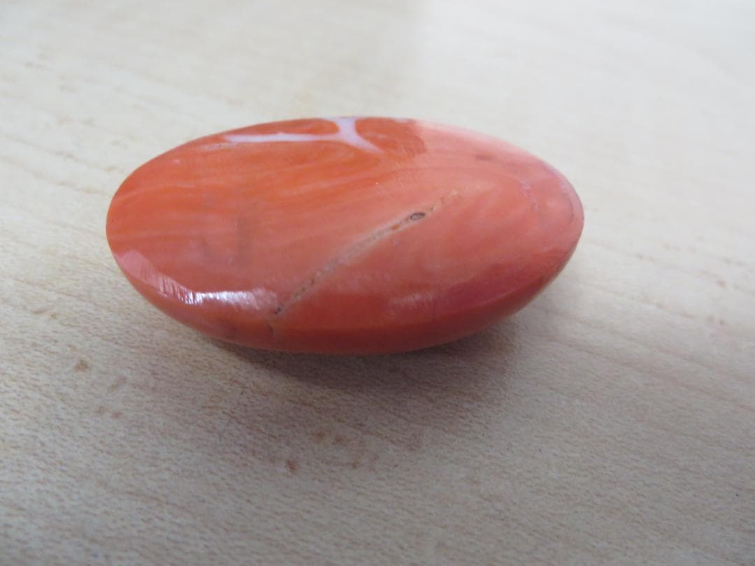 珊瑚サンゴ　帯留め外し石　特大裸石ルース　28.8ｇ　約144ct