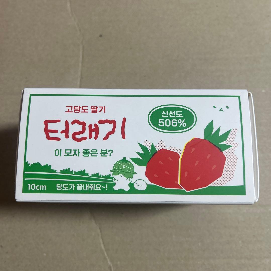 ベッキョン TEOLAEGI トレギ　10cm いちご