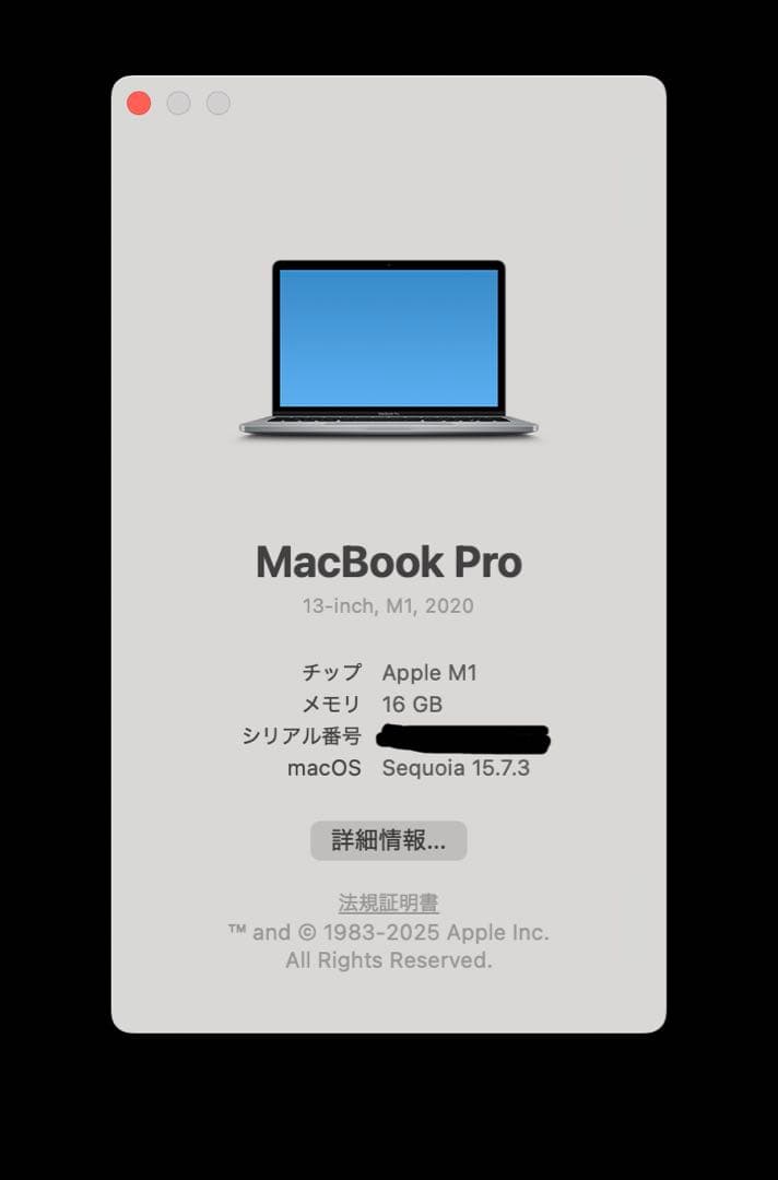 【美品】MacBook Pro M1
