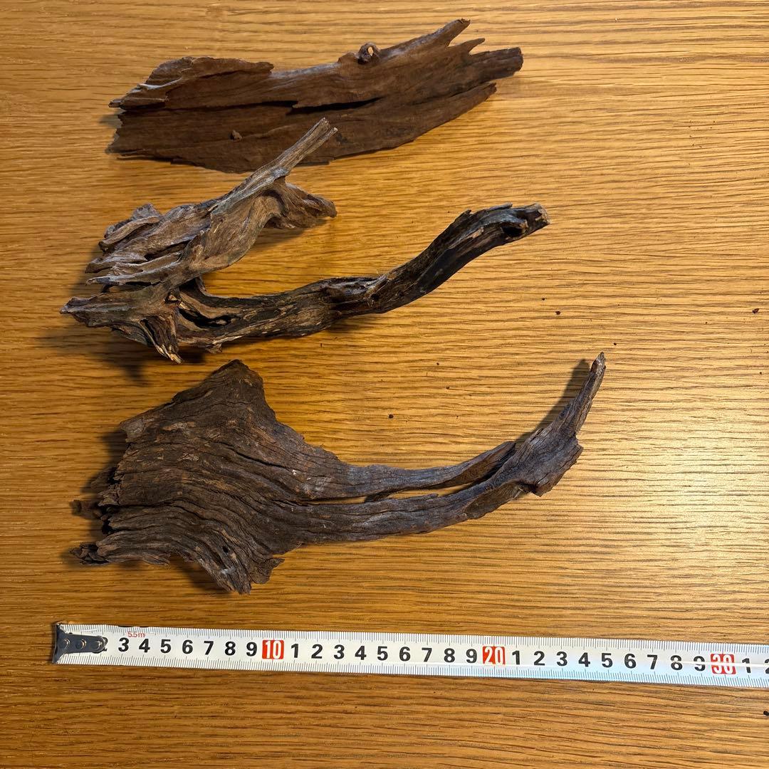 ADA流木　6点（まとめ買いの場合は500円引き）