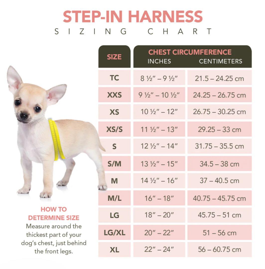 Susan Lanci スーザンランシー　ハーネス　RED XS セレブブランド