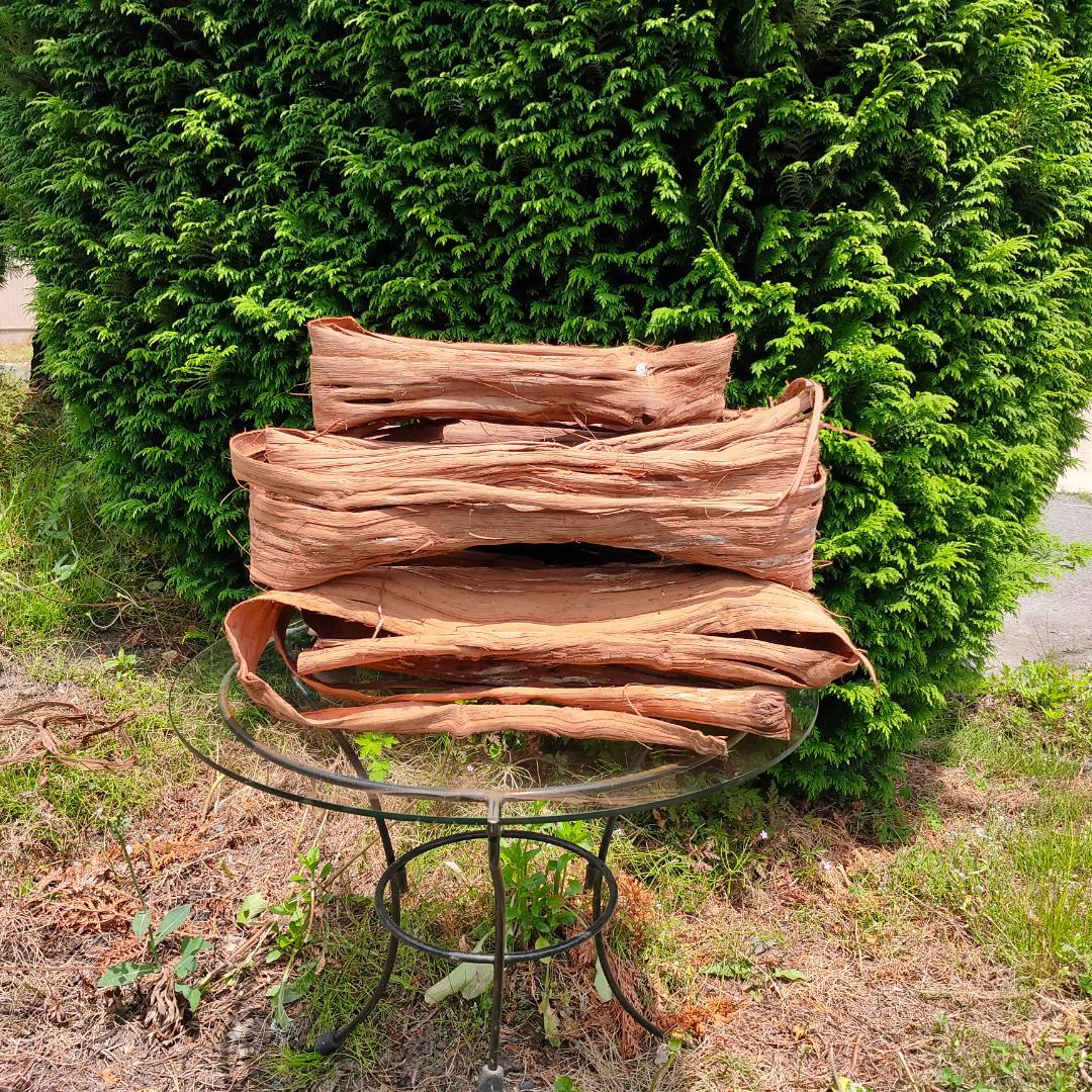 青森岩木山産 山葡萄 皮 樹皮 約2kg