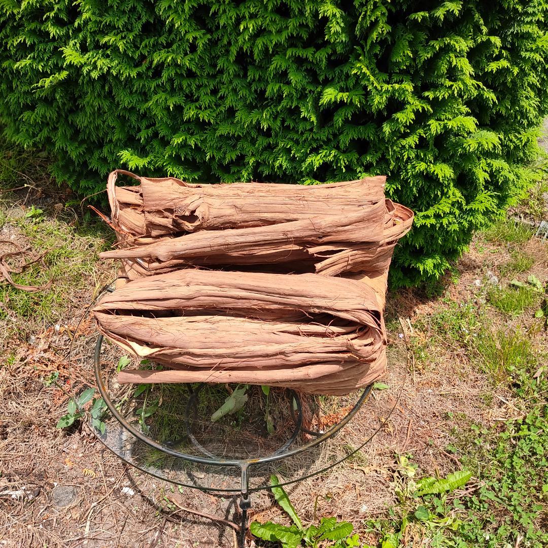 青森岩木山産 山葡萄 皮 樹皮 約2kg