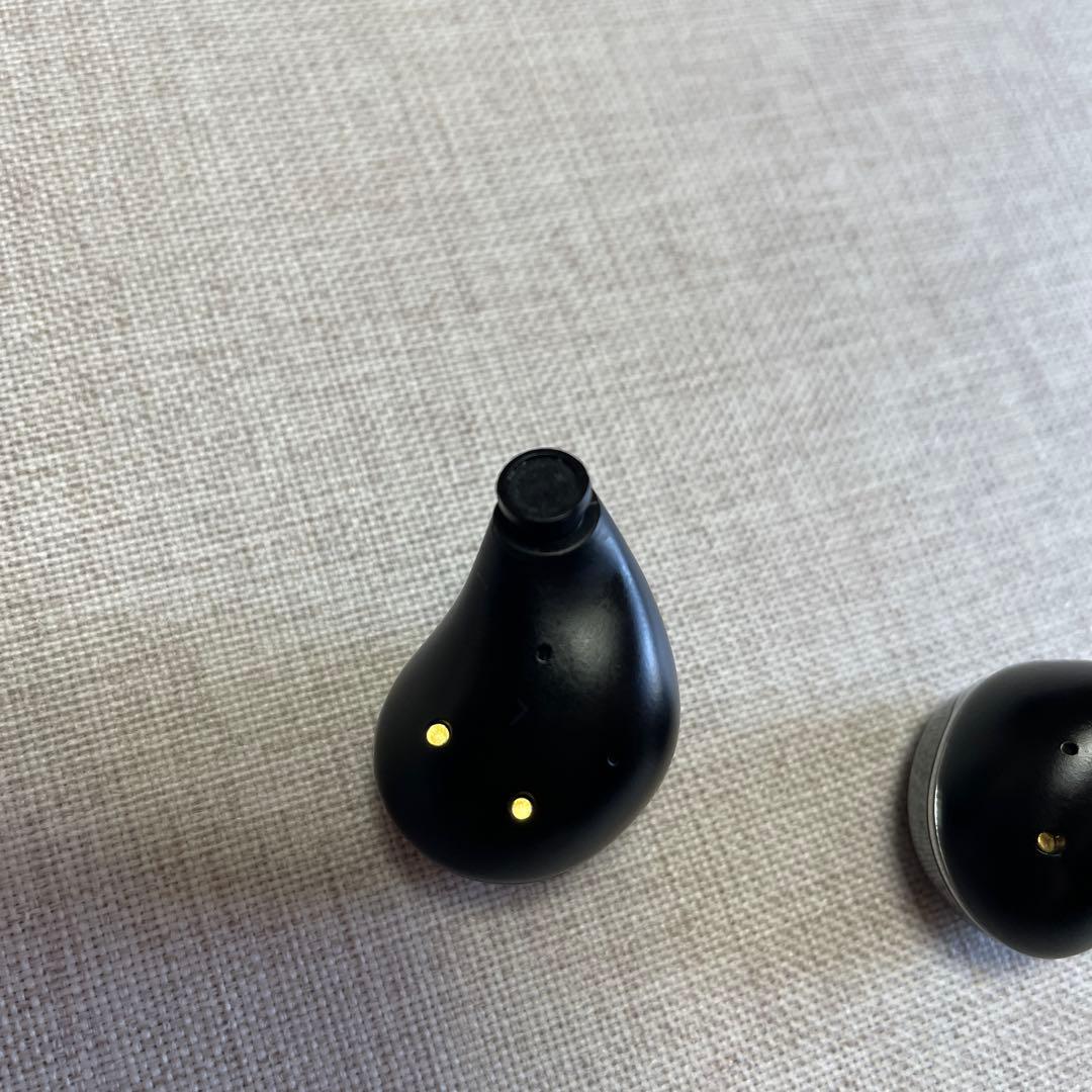 noble Falcon Max 高級イヤピース付き メンテナンスおまけ付き