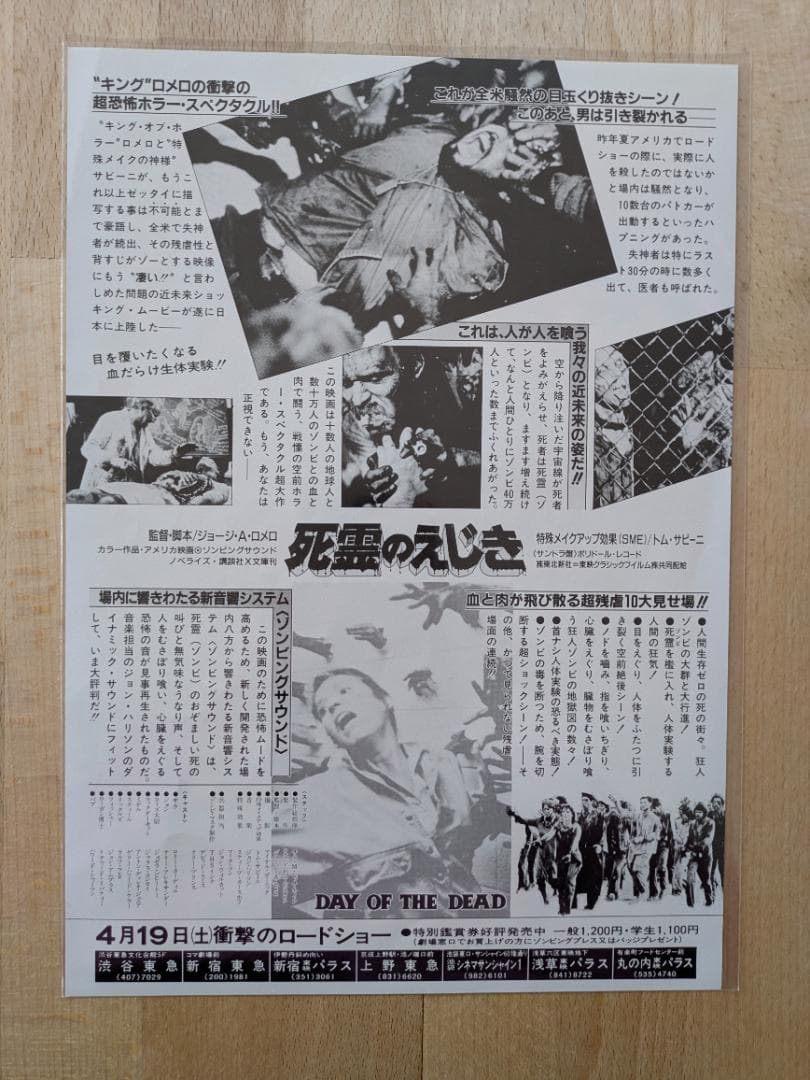 映画チラシ 85年公開 死霊のえじき SFXホラー・サバイバル映画 B5フライヤ