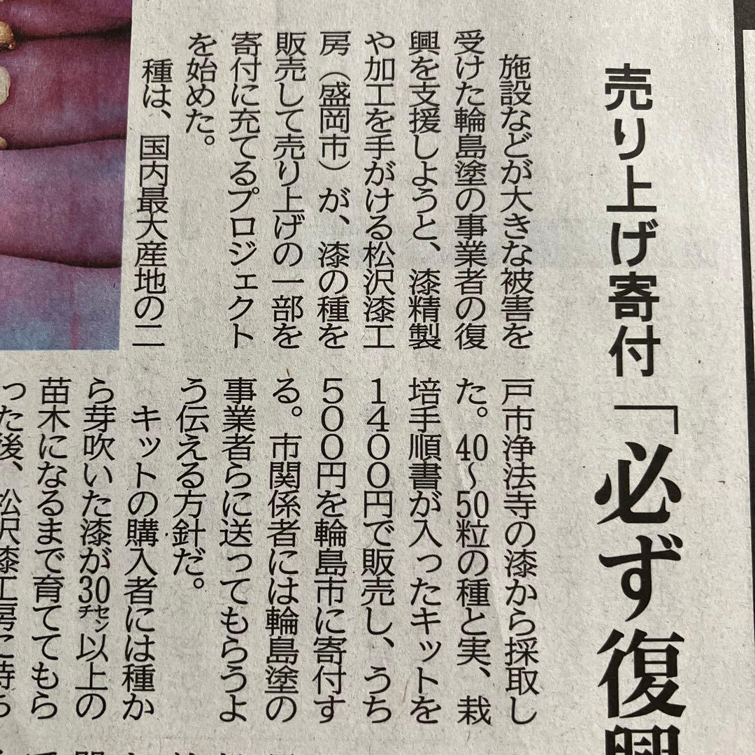 浄法寺塗　平鉢　6寸　純国産漆　安比塗漆器工房　約18㎝×約5.5㎝　新品未使用