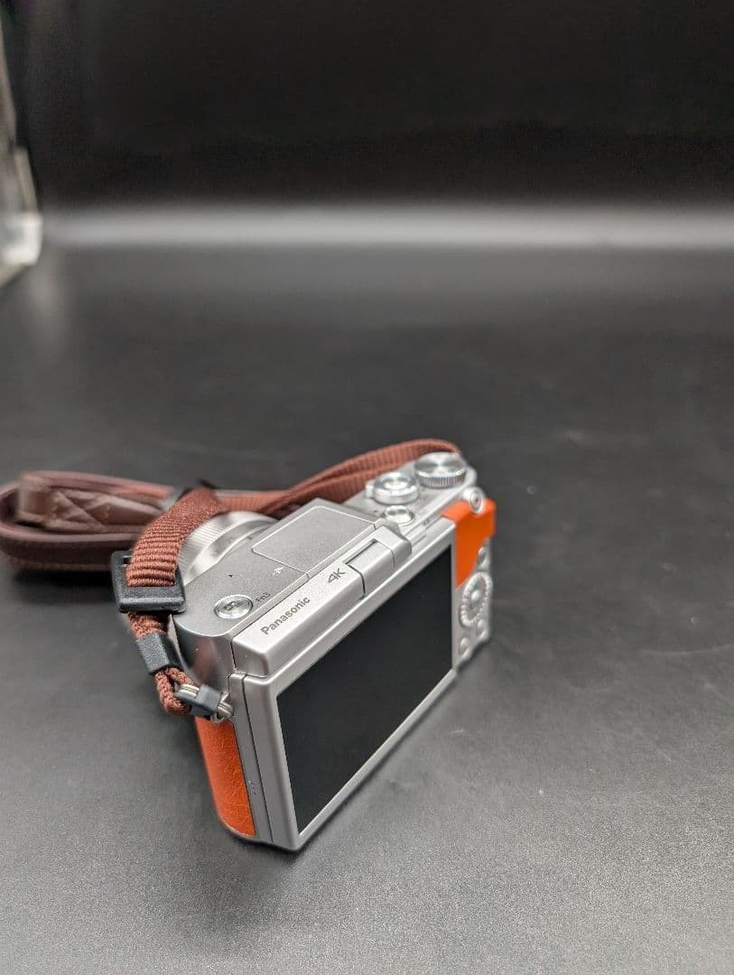 Panasonic LUMIX G ミラーレス一眼カメラ DC-GF9