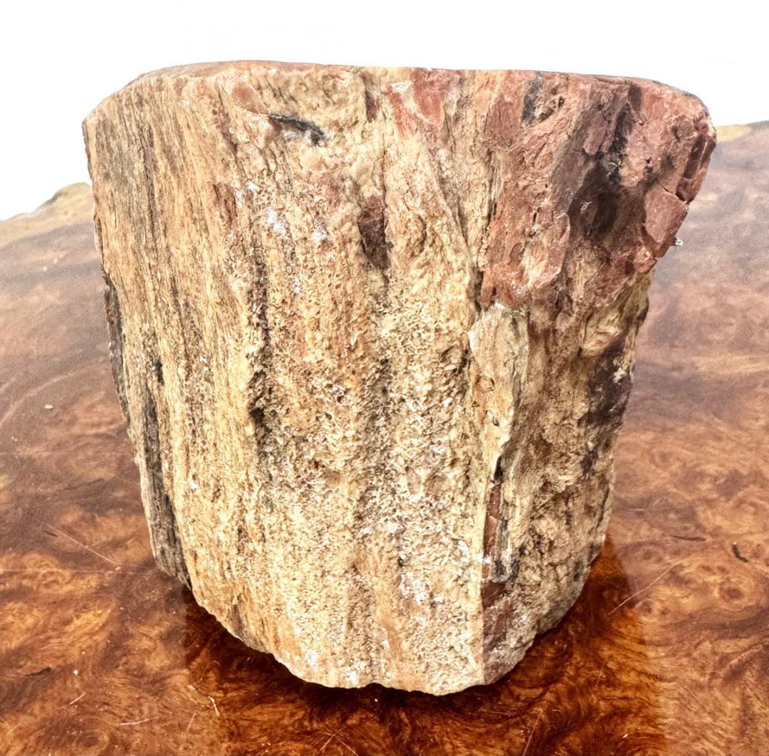 木化石 珍品 瑪瑙化置物 原石 約2kg 唐木 華道 茶道入手困難WWFT082