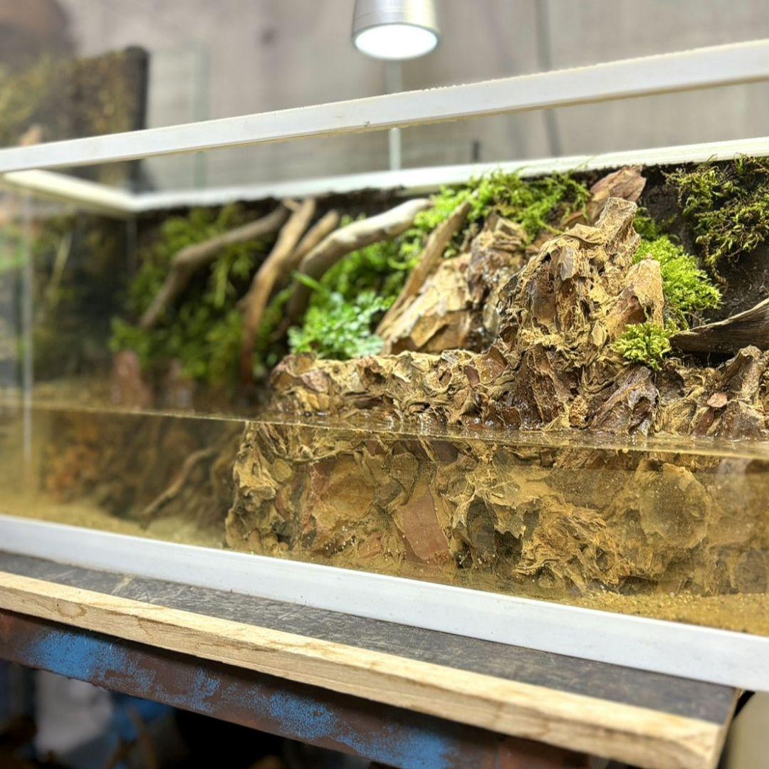 滝の流れるアクアテラリウム　イモリウム　No.1121