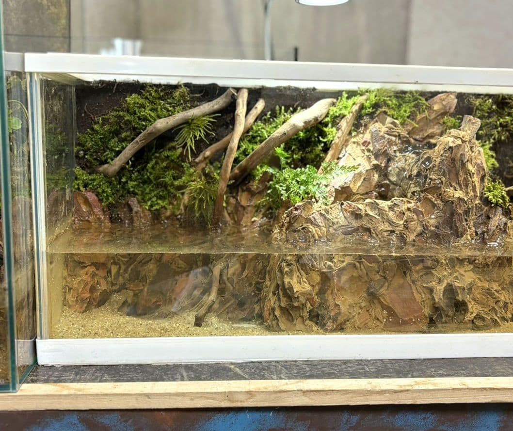 滝の流れるアクアテラリウム　イモリウム　No.1121