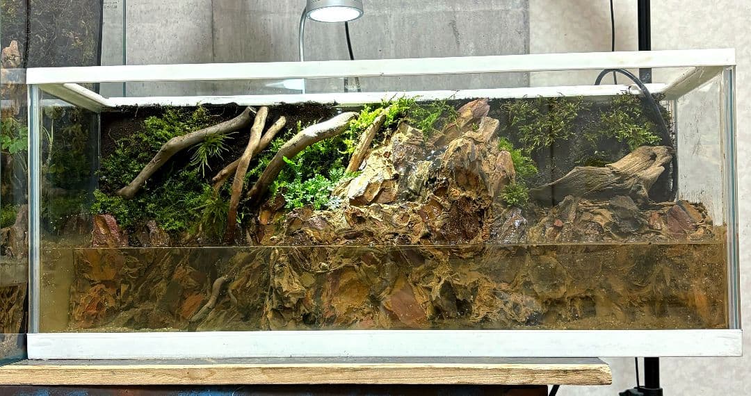 滝の流れるアクアテラリウム　イモリウム　No.1121