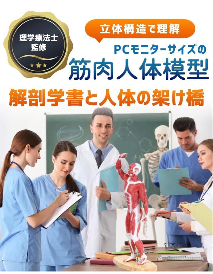 【限定価格】KIYOMARU 54cmのリアルな筋肉人体模型 約1/4サイズ