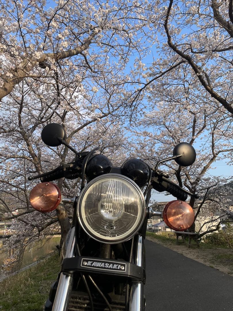 はまさん専用、DOREMI COLLECTION Z2タイプウィンカー 4個