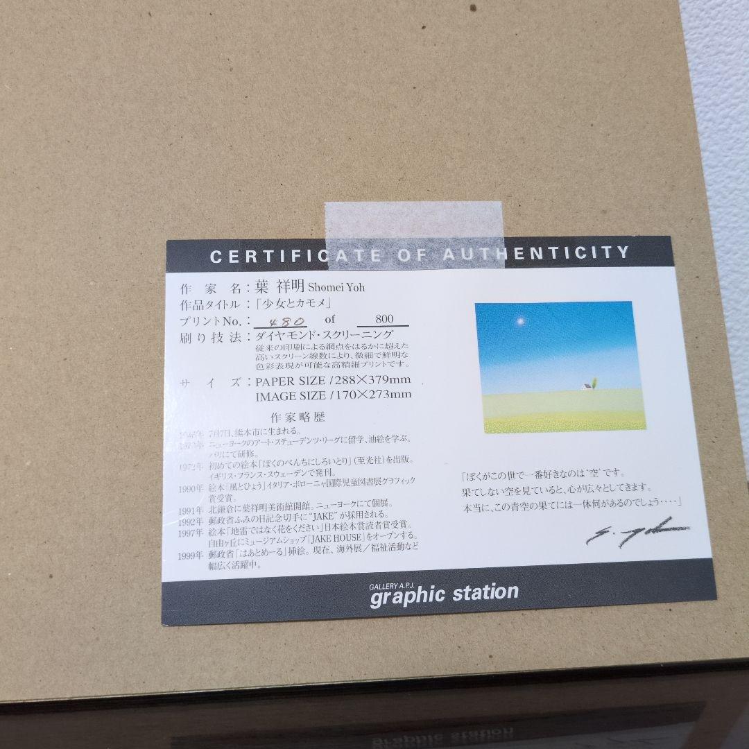 葉 祥明 ダイヤモンドスクリーニング 限定版画 サイン・エディション 作品証明書