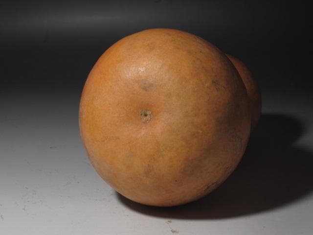 【GACHAN】☆瓢　掛花入　花影　表千家　十三代　即中斎の花押☆y388