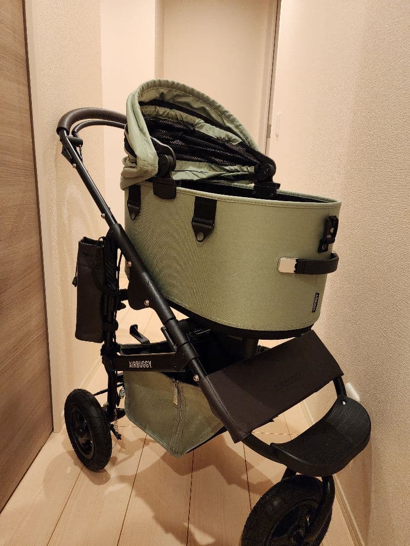 AIRBUGGY DOME 3 ペットカート グリーン レギュラー
